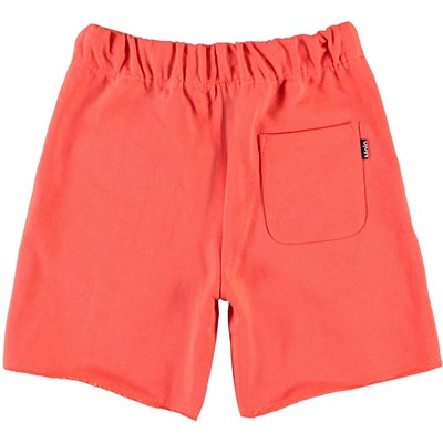 Molo Kids Adian Neon Coral Cotton Shorts kids shorts Molo Kids   