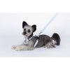 Woof by Betters Barrels H Harness (Check Blue)