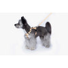 Woof by Betters Barrels H Harness (Check Yellow) dog harness BETTERS   