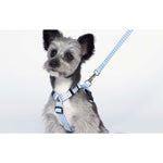 Woof by Betters Barrels H Harness (Check Blue)