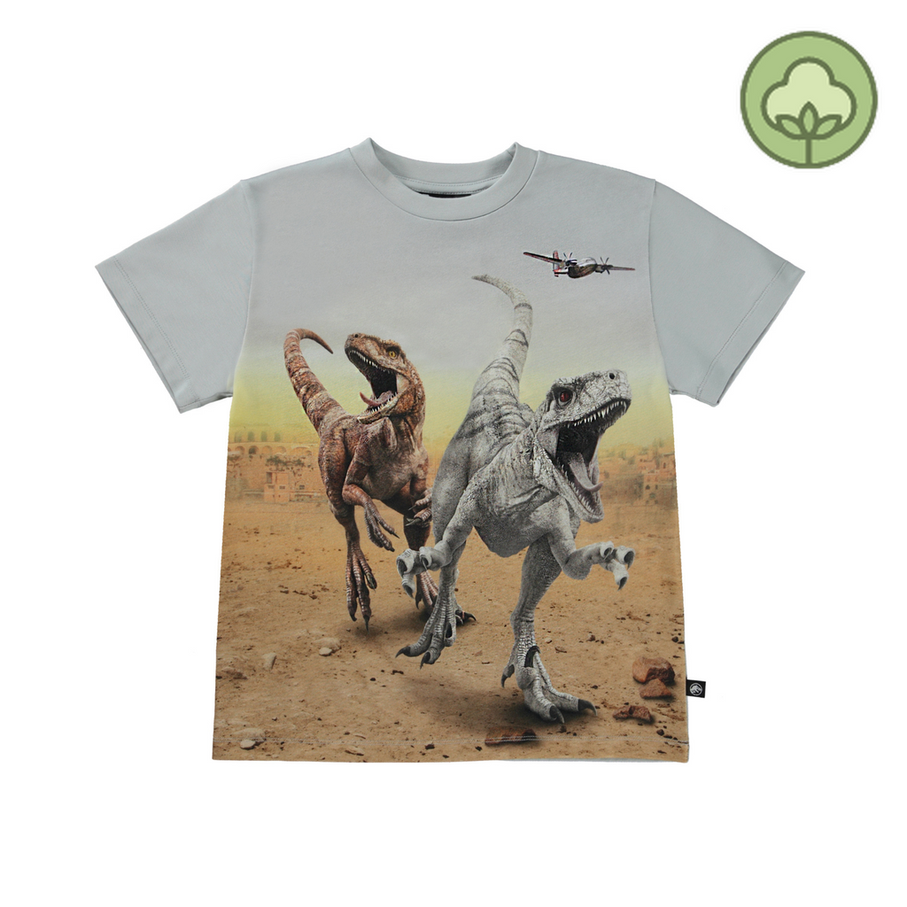 Wildfox sales dinosaur sweatshirt