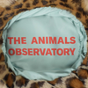 The Animals Observatory Brown Starfish Kids Hat