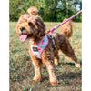 Sassy Woof Dog Rope Leash - Candy Pink - Crown Forever