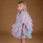 RaspberryPlum Swan Dress Pastel